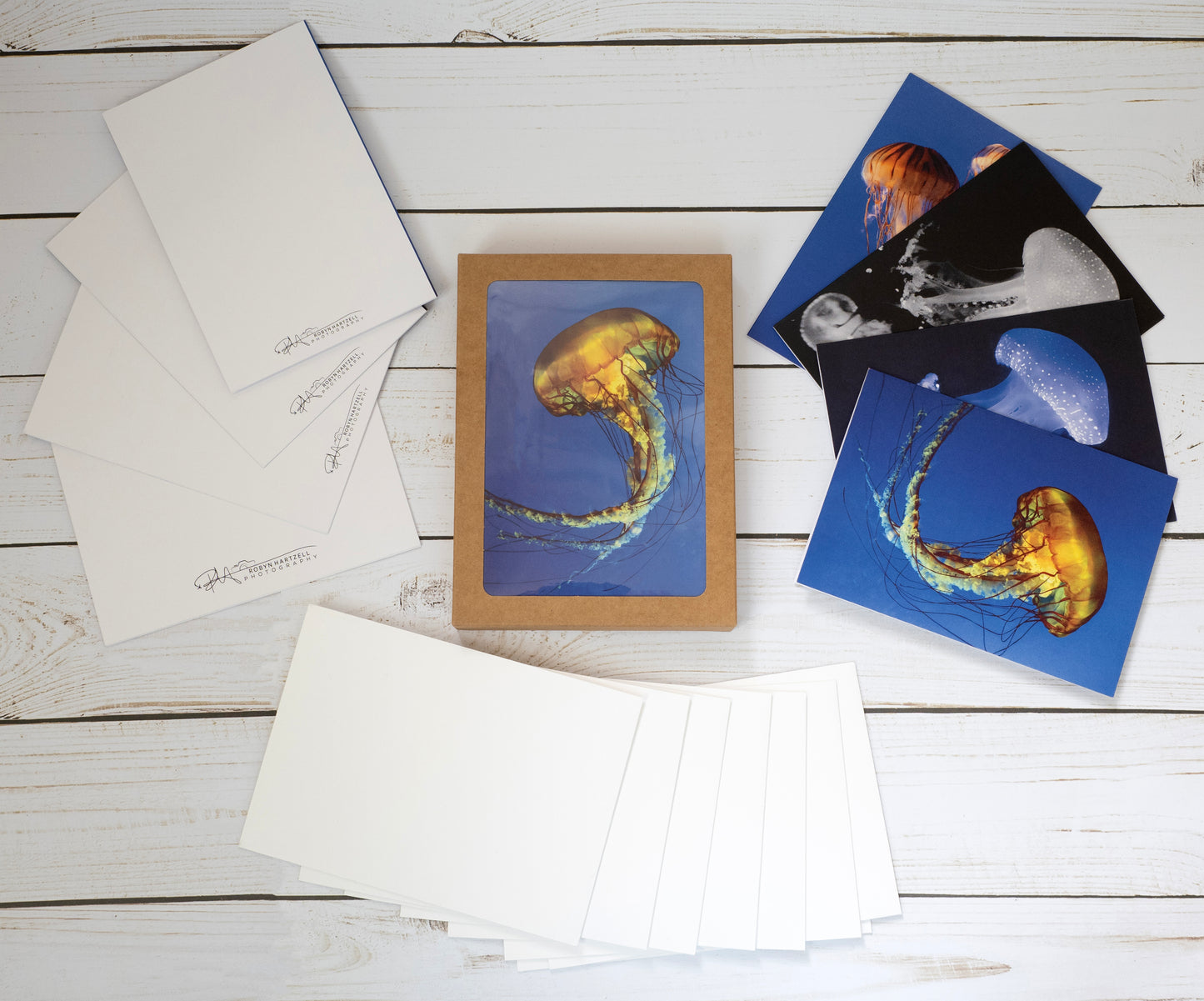 Jellyfish Collection