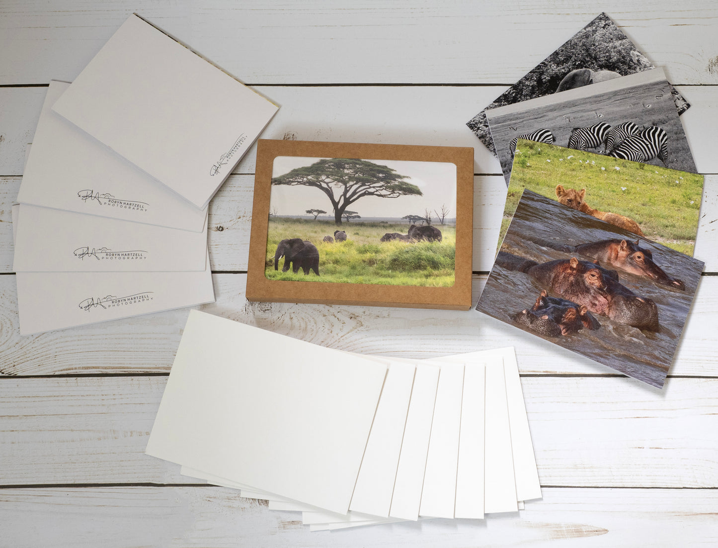 Tanzania Safari Collection