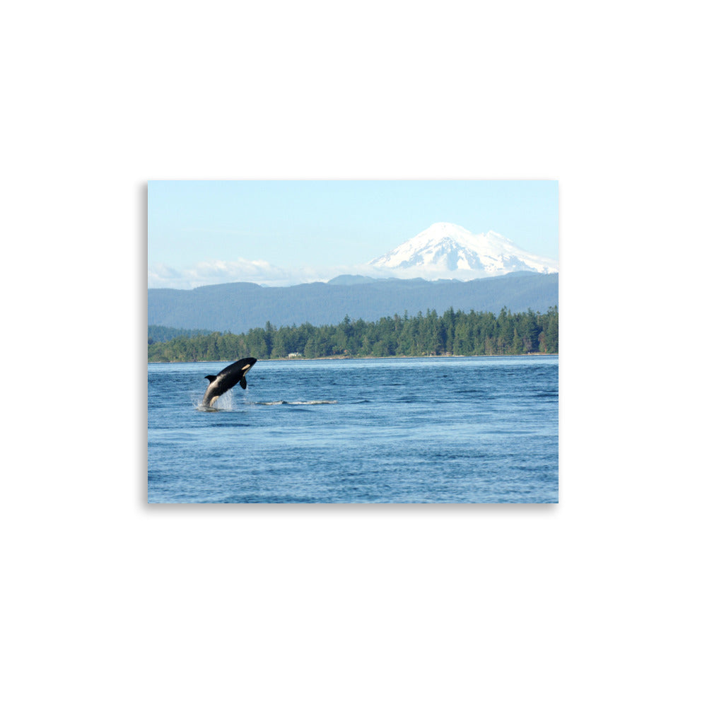 Orca & Mt. Baker - Salish Sea