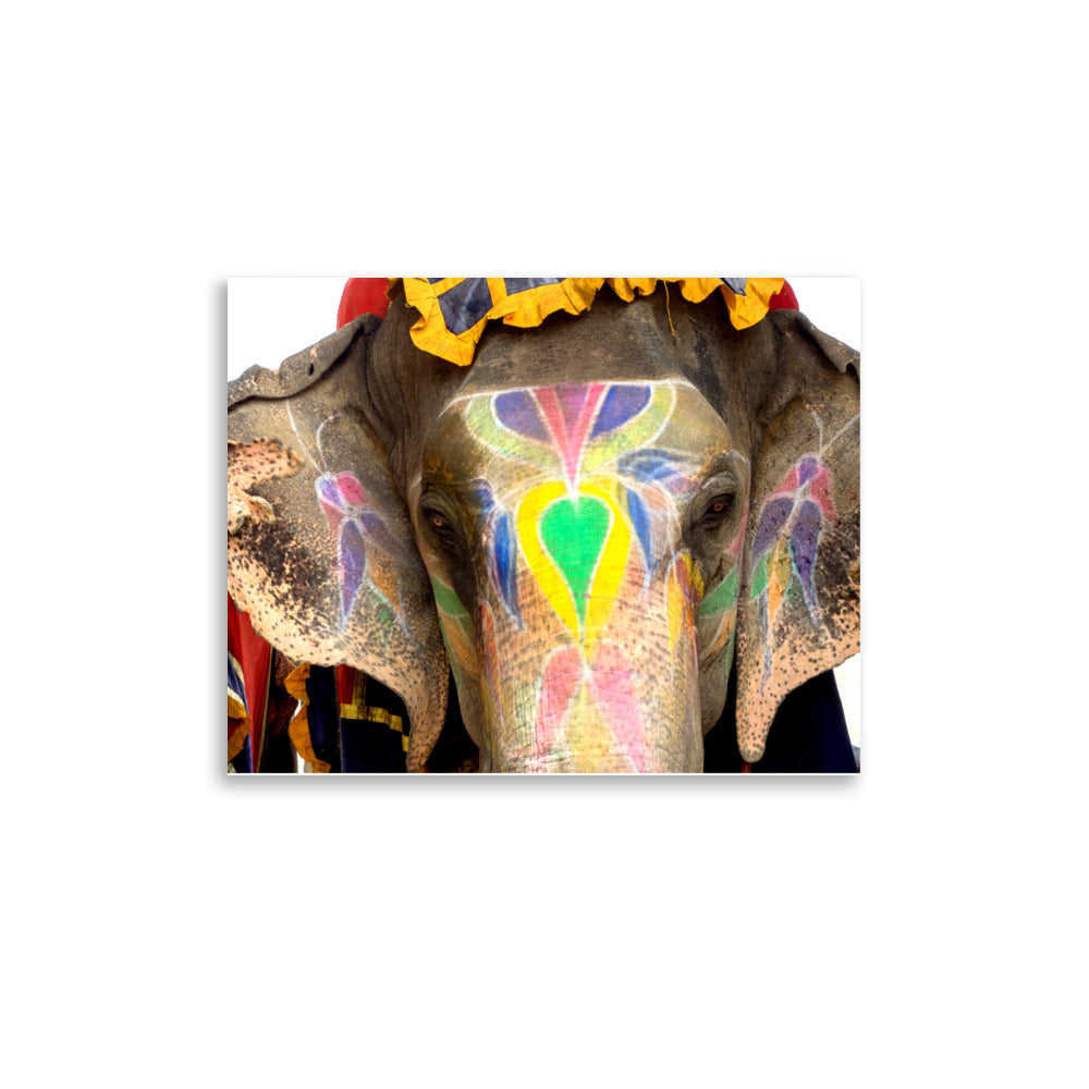 Painted Elephant - Agra, India
