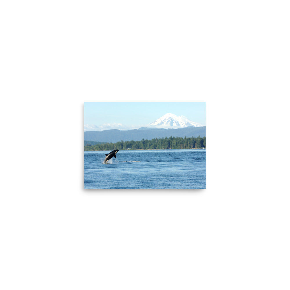 Orca & Mt. Baker - Salish Sea