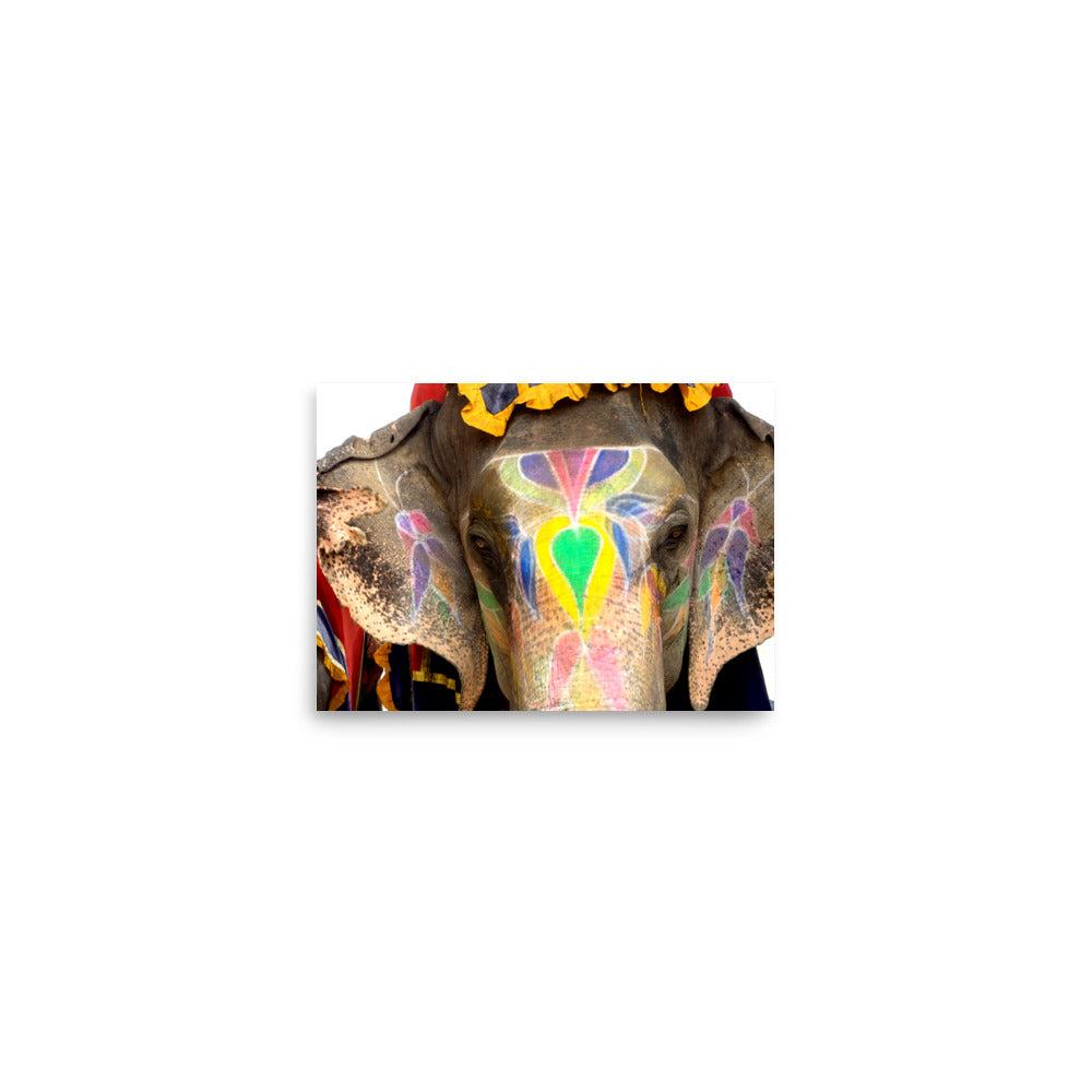Painted Elephant - Agra, India