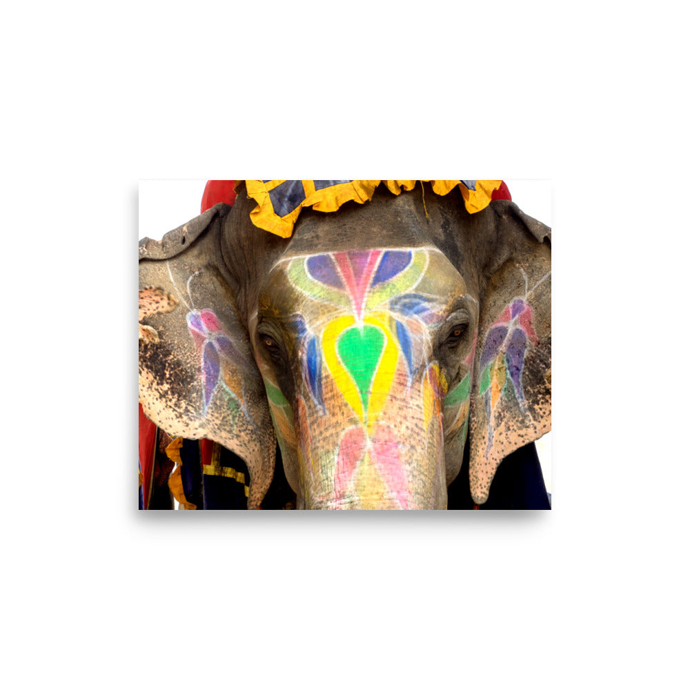 Painted Elephant - Agra, India