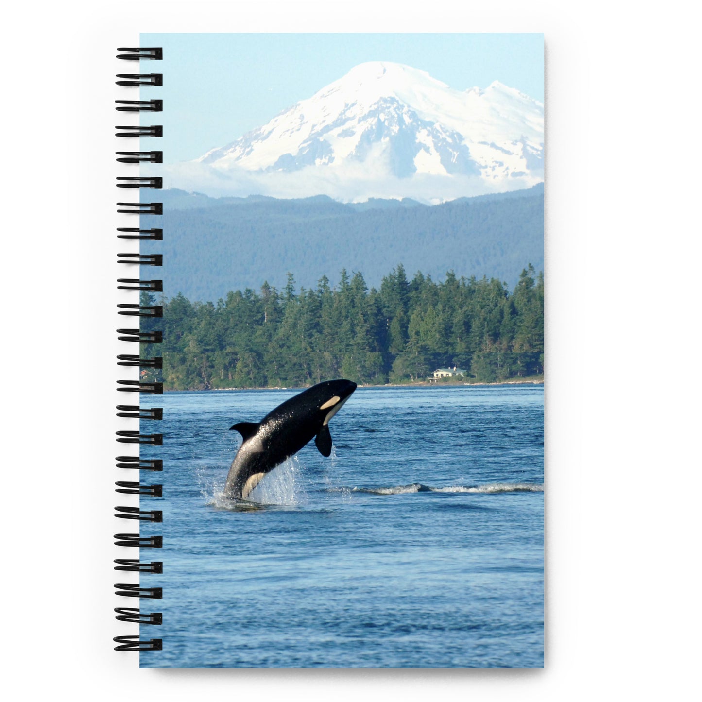 Orca & Mt.Baker - Salish Sea