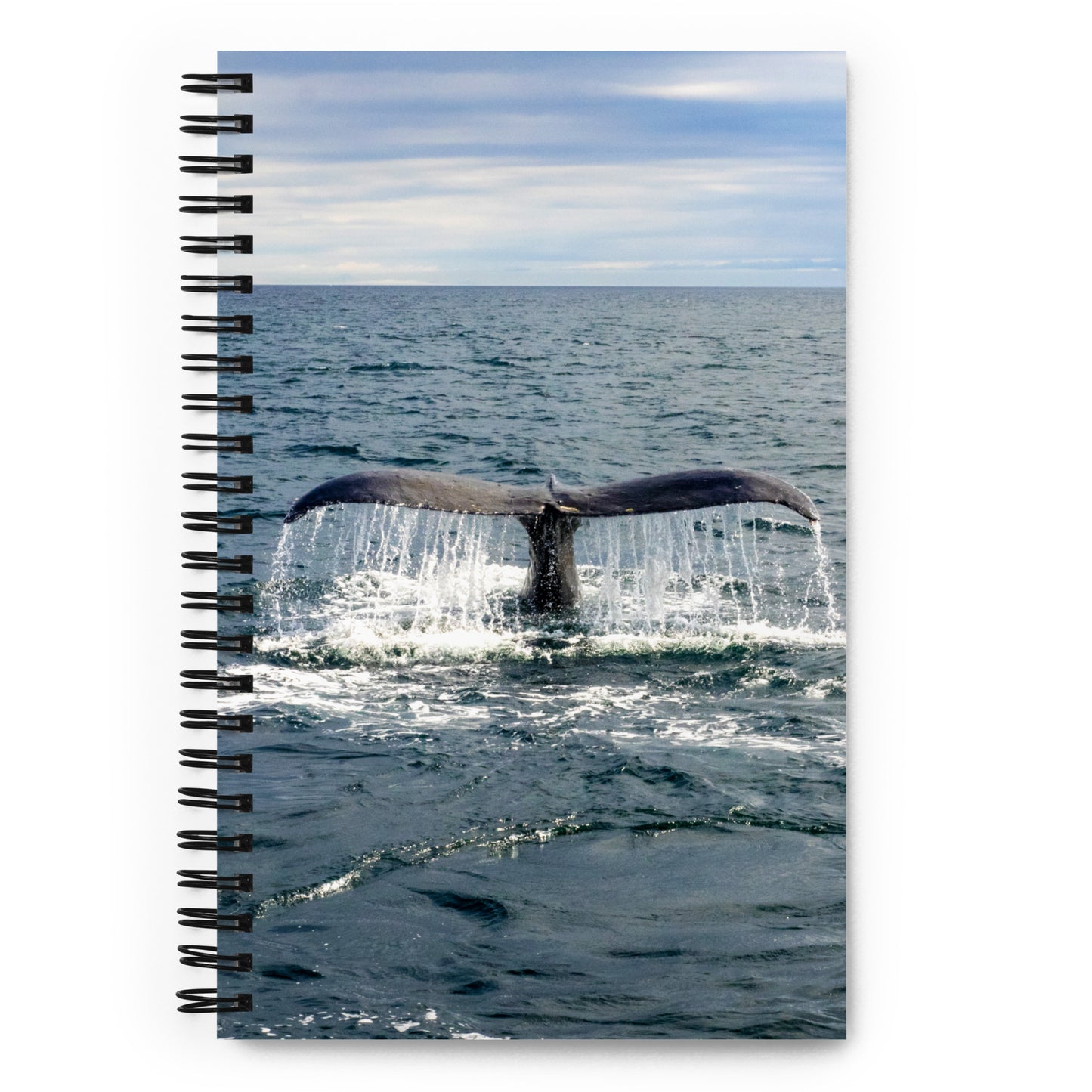 Humpback Tail - Salish Sea