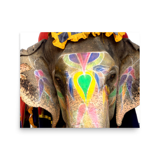 Painted Elephant - Agra, India