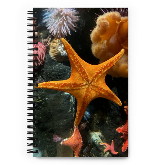 Starfish - Vancouver Aquarium