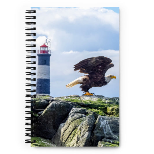 Bald Eagle at Race Rocks Light House - Victoria, Canada