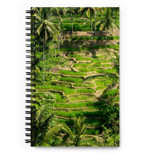 Rice Fields - Bali, Indonesia